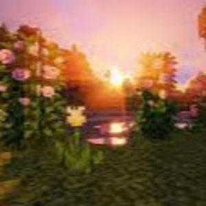 Meet your Posher, Addison